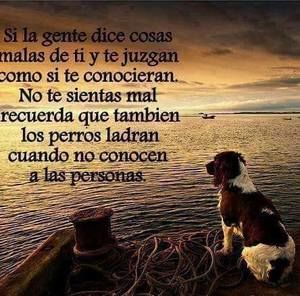 Meet your Posher, Alejandro